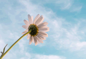 Palantir: What the Raw Numbers Say About Its Valuation